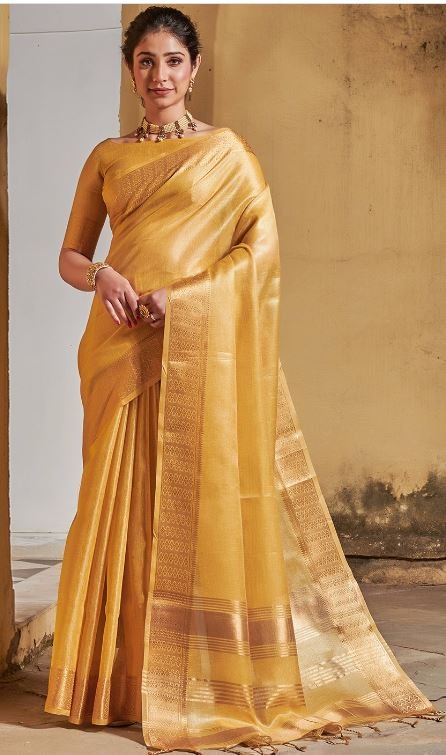 Saree Collection : किसी भी खास मौके पर पहनने के लिए बेस्ट है ये डिज़ाइनर साड़ियां, देखें कलेक्शन 